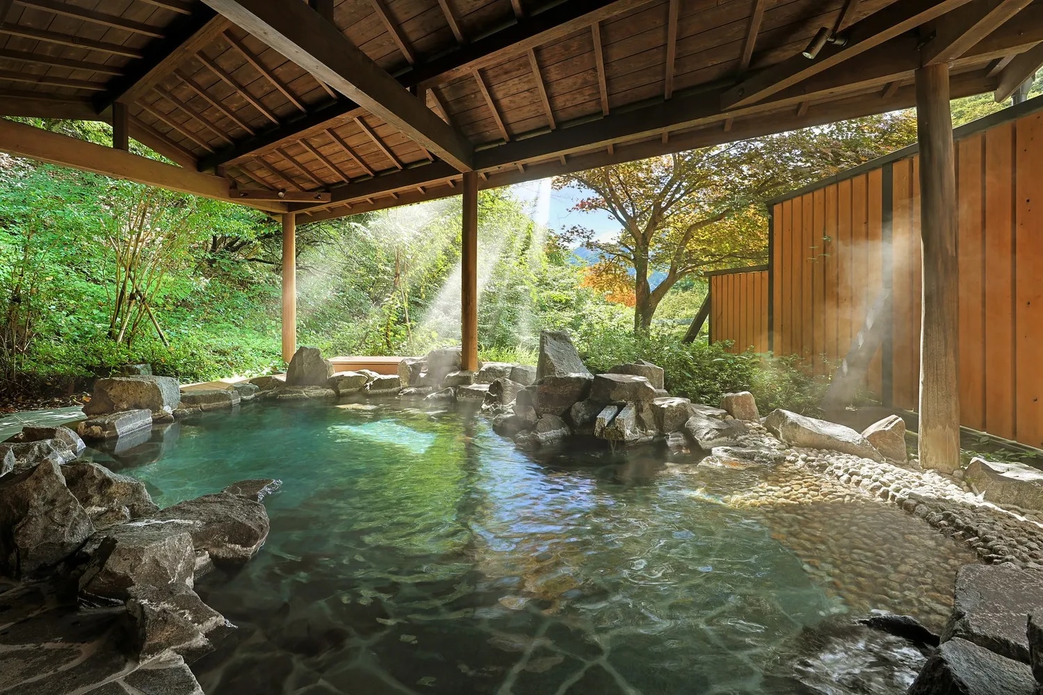 四万温泉 鹿覗きの湯 つるや