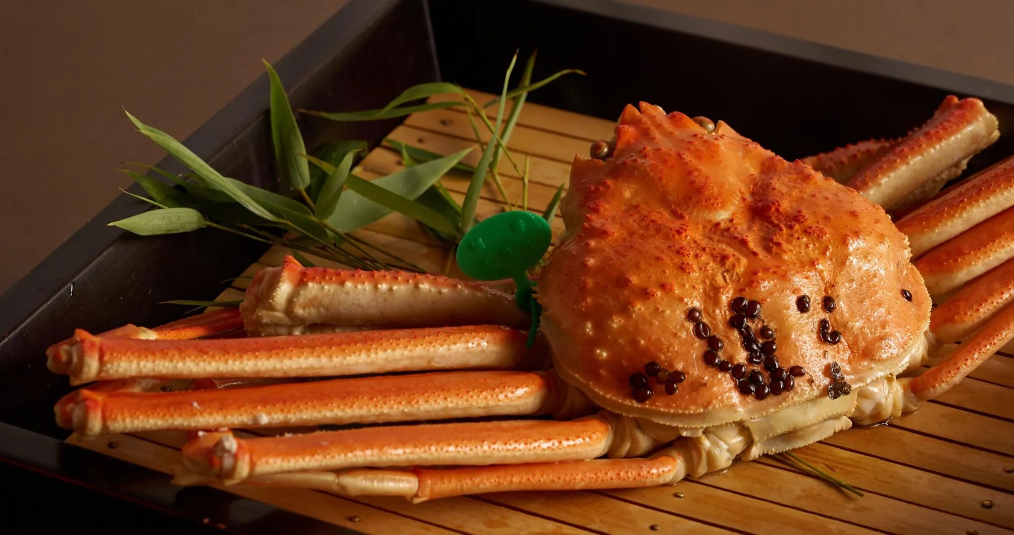 もう一つの京都 雨情草庵