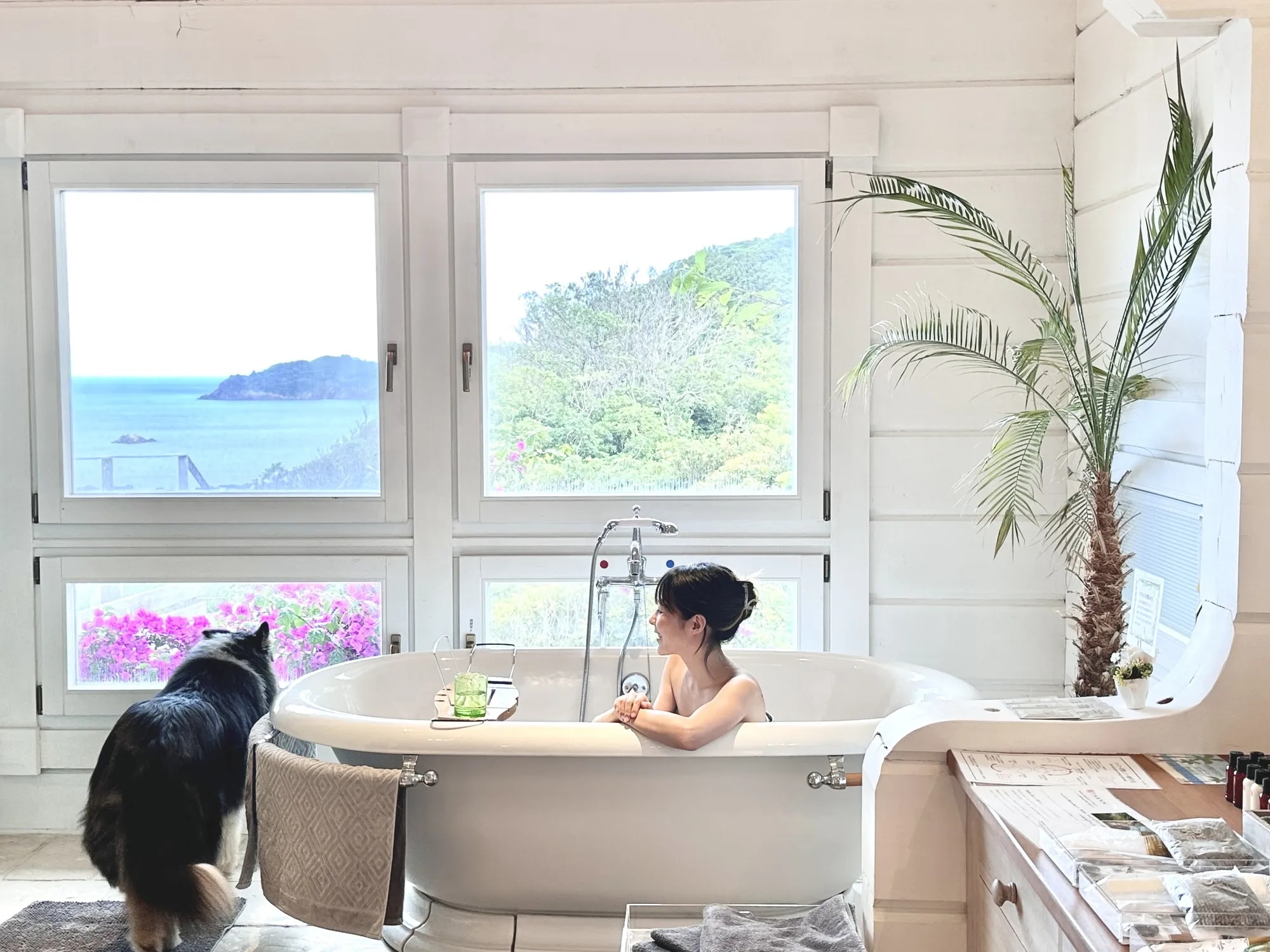 ペットと泊まれる森のホテル ホテル四季の蔵