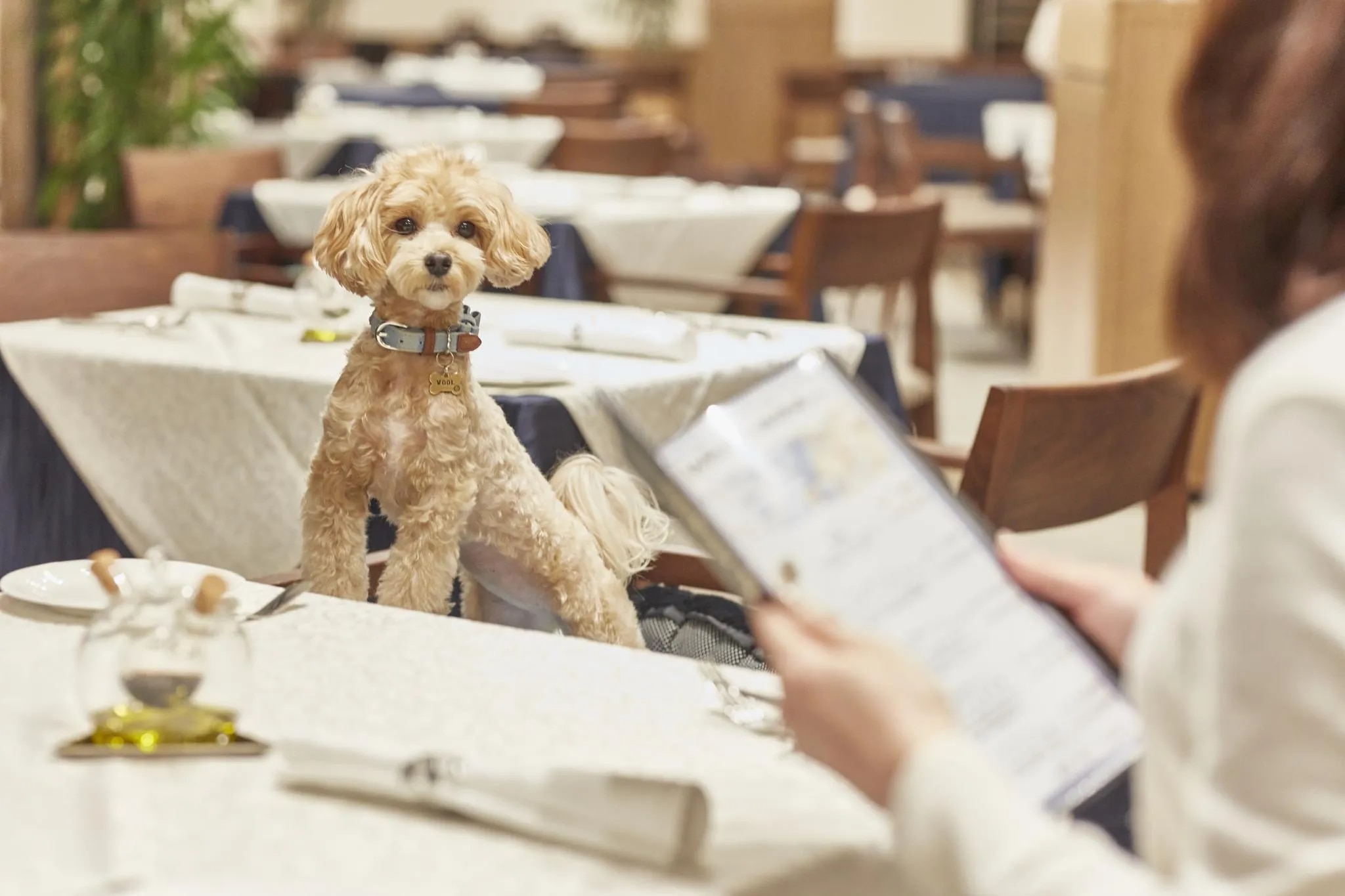 ルシアン旧軽井沢（共立リゾート）