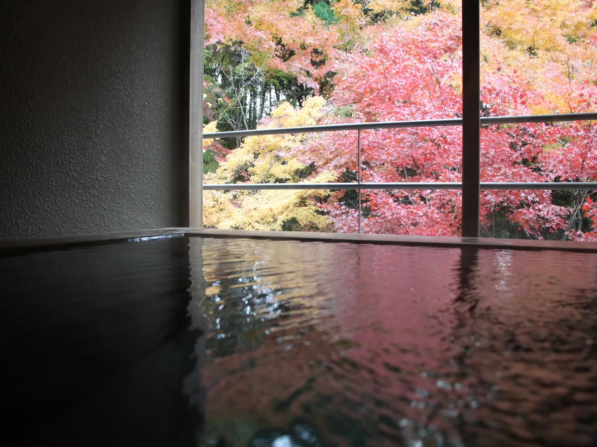 山もみじの宿 八芳園