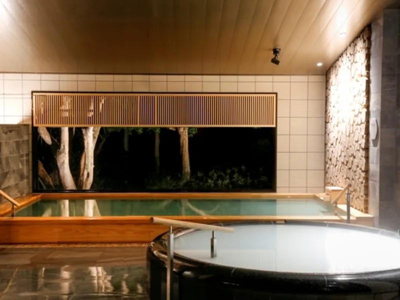 NEMU RESORT HOTEL NEMU