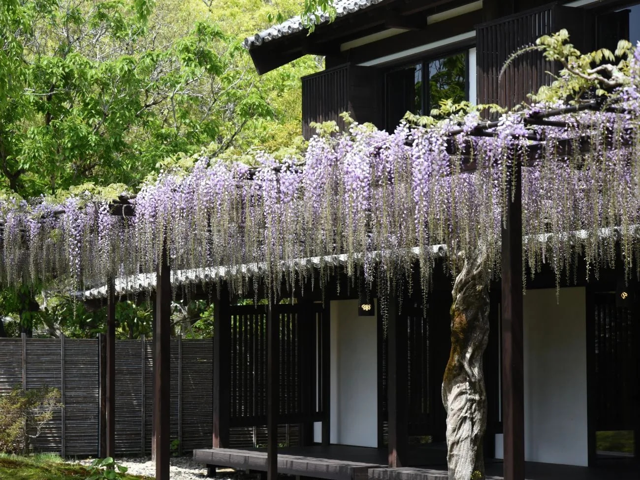 葛城北の丸