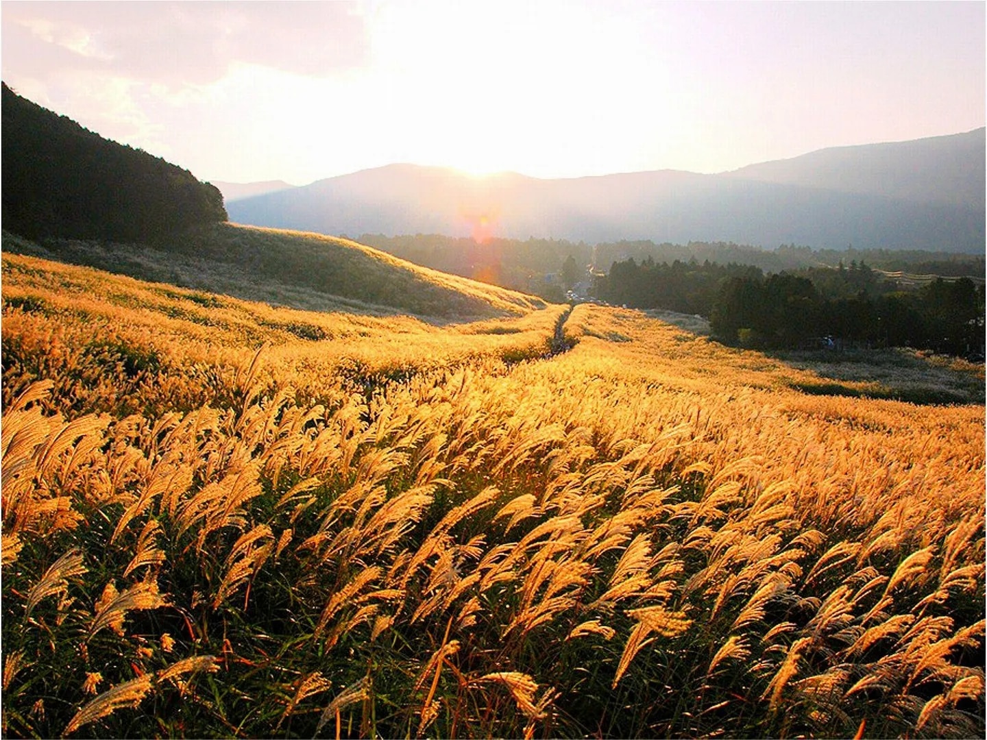 箱根仙石原プリンスホテル
