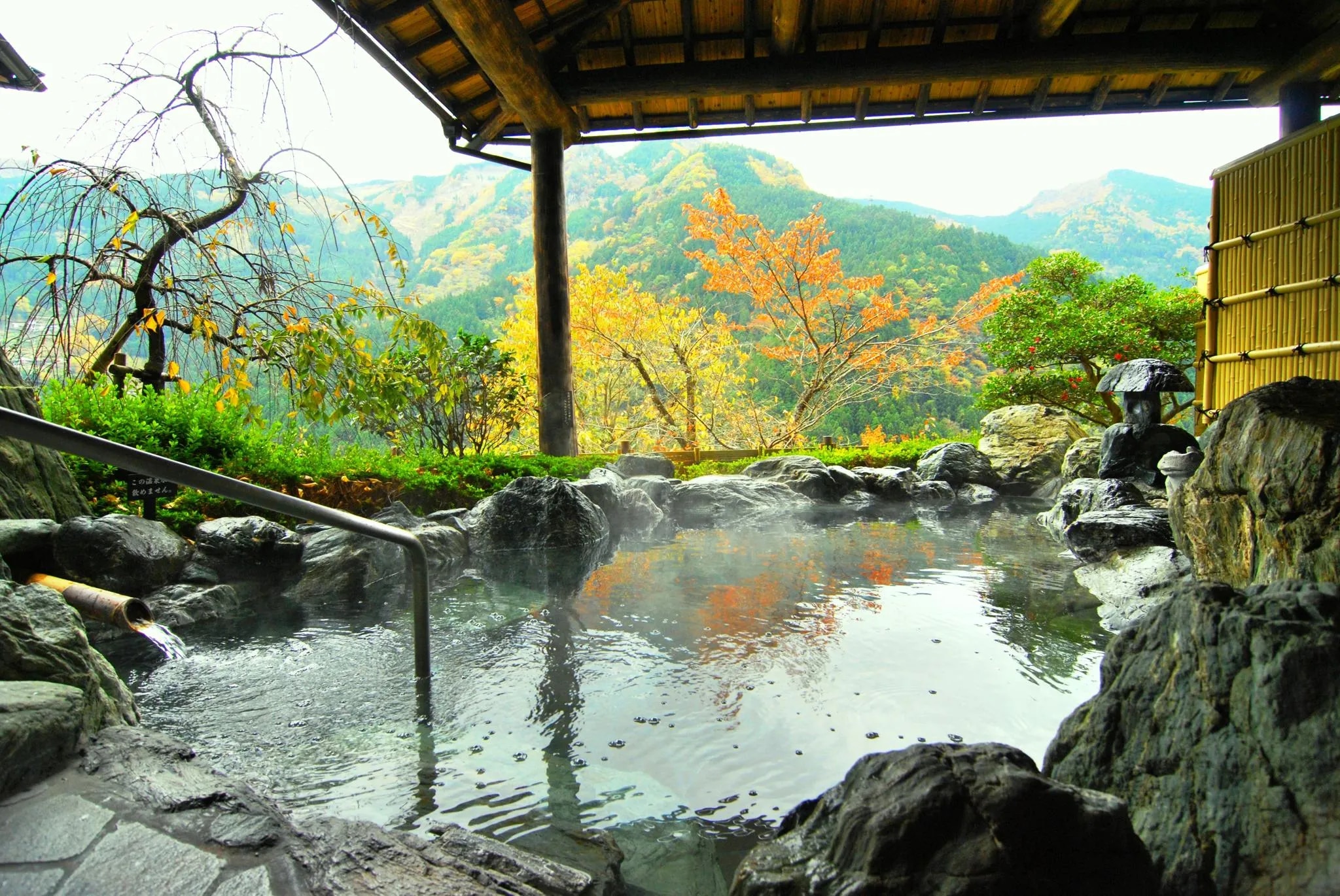 新祖谷温泉 ホテルかずら橋