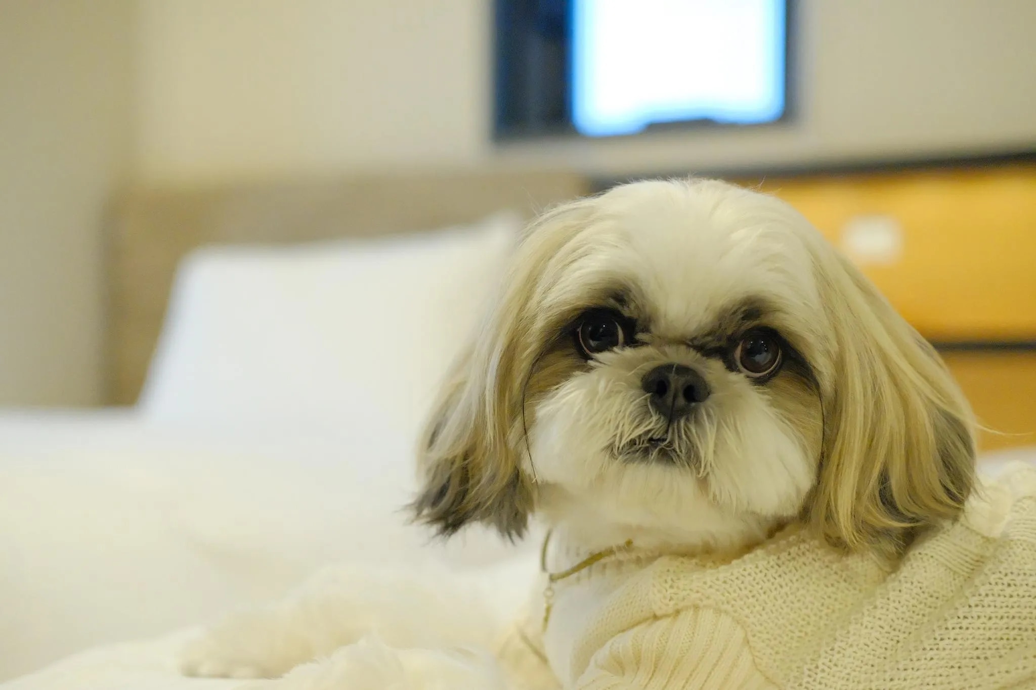 イチホテル浅草橋