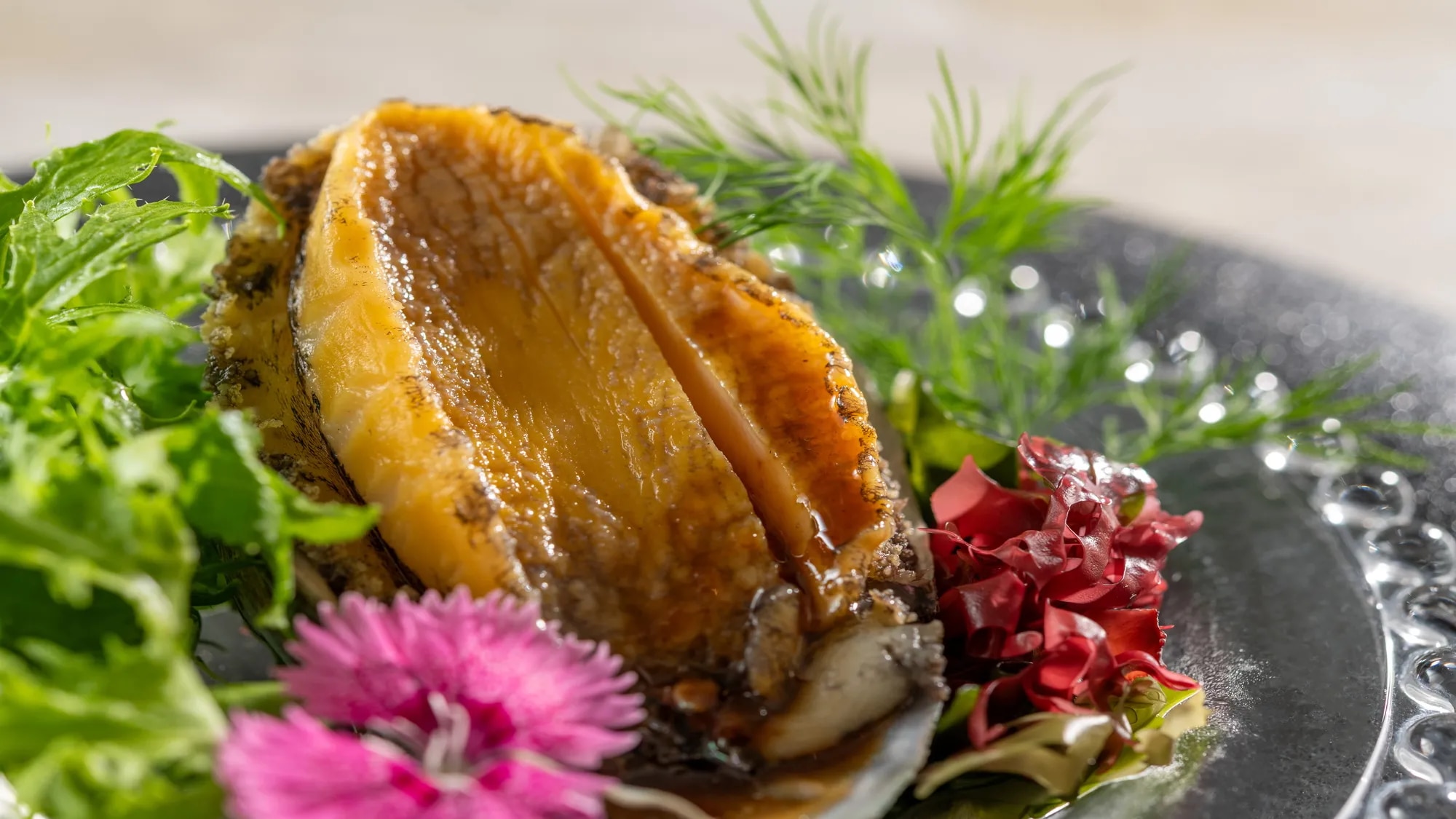 Wan’s Resort 城ヶ崎海岸