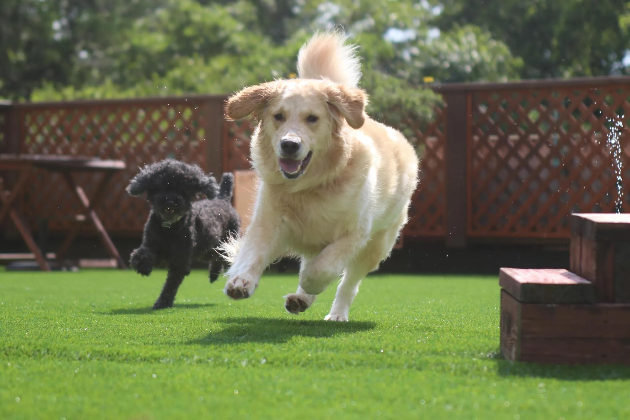 ほったらかしの宿 ゆうふり伊豆高原