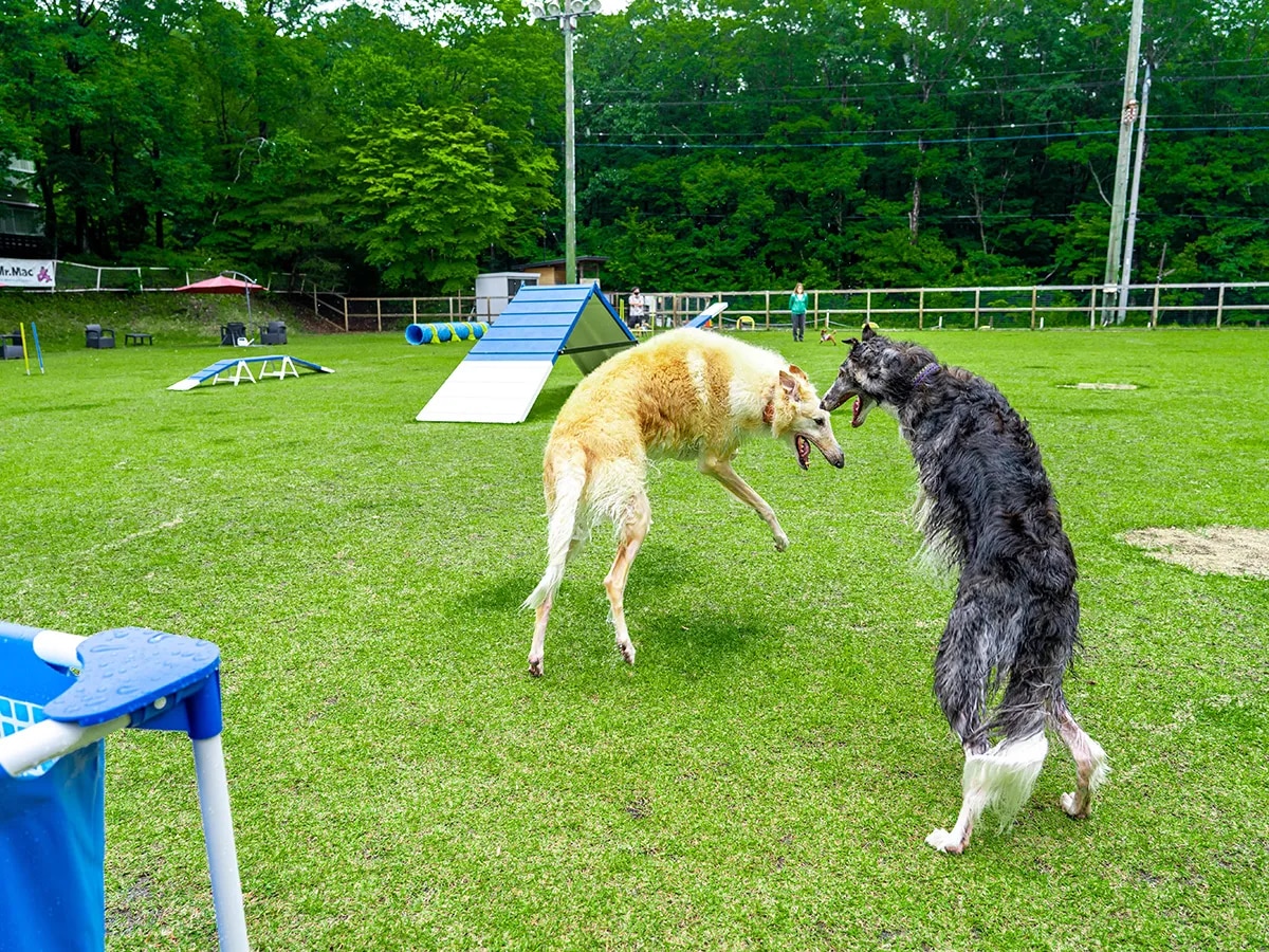 ホテルフォレストヒルズ那須