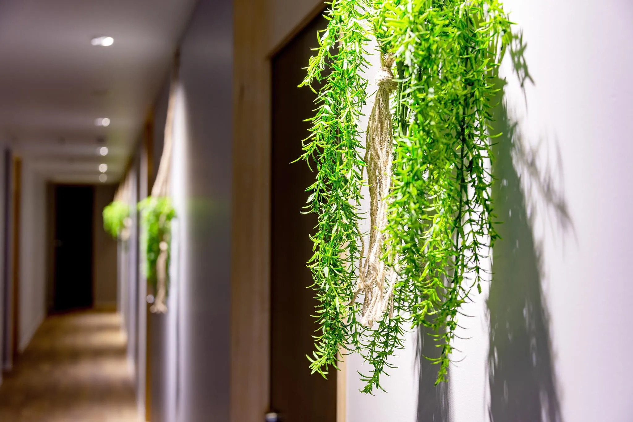 plat hostel keikyu minowa forest