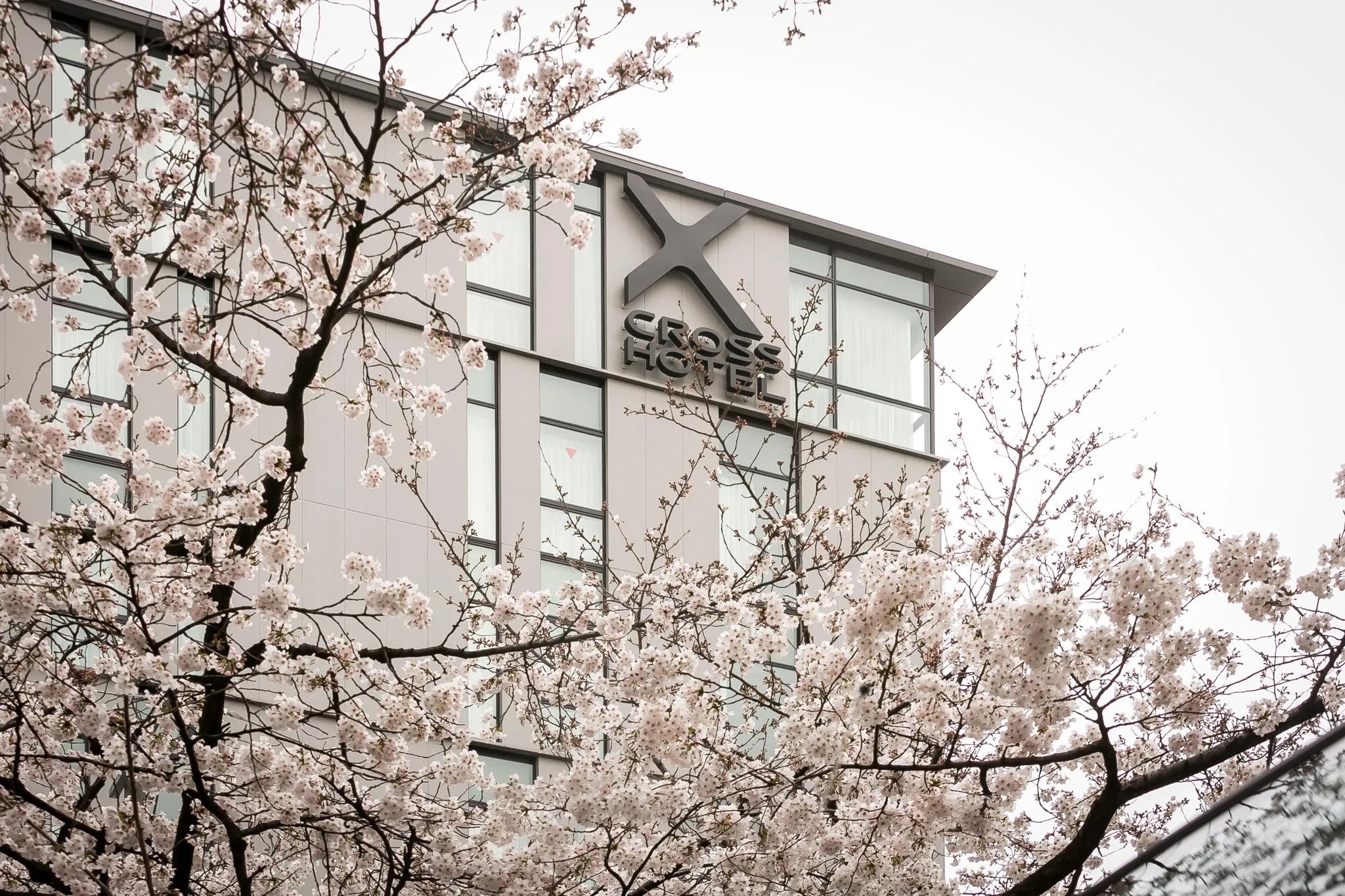 クロスホテル京都