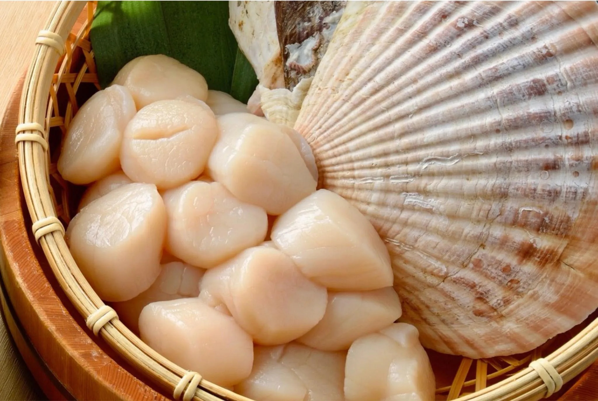 東京ベイ有明ワシントンホテル