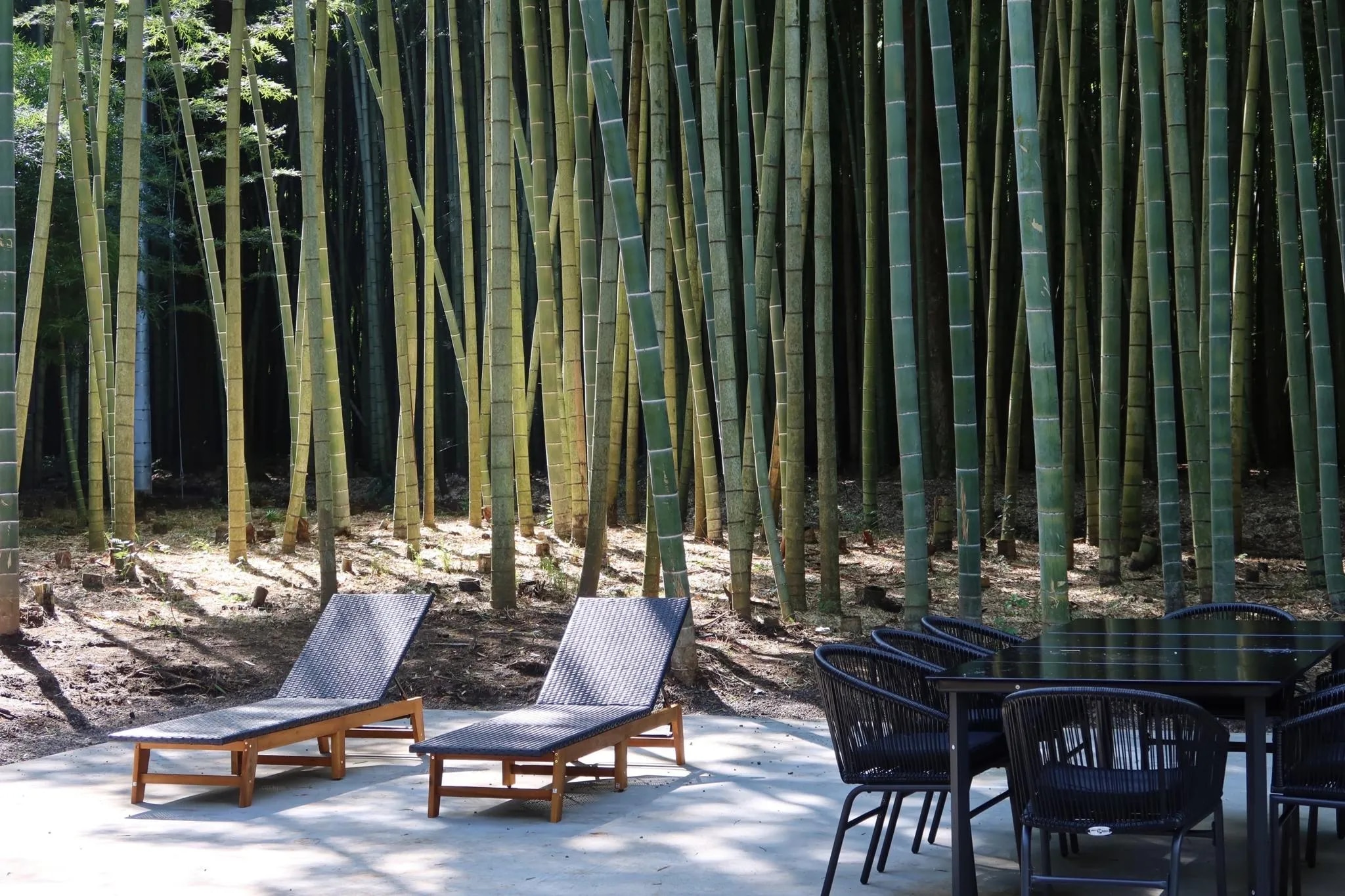 and FOREST勝浦 竹の離れ