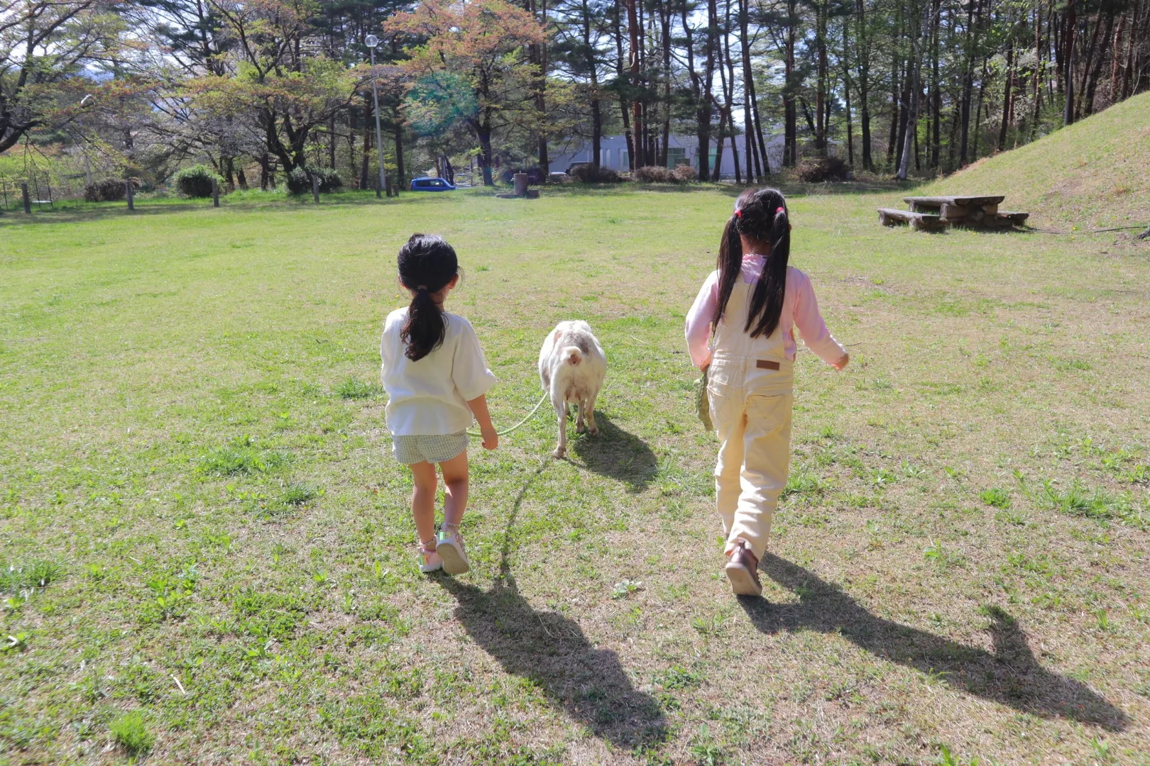八ヶ岳 ホテル風か