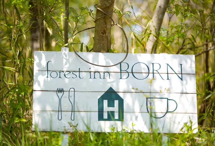forest inn BORN