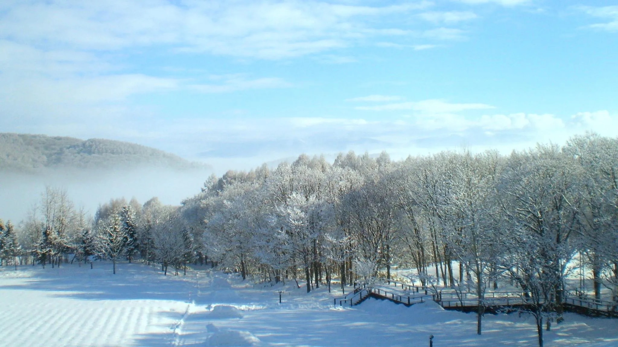 富良野ホテル FURANO HOTEL