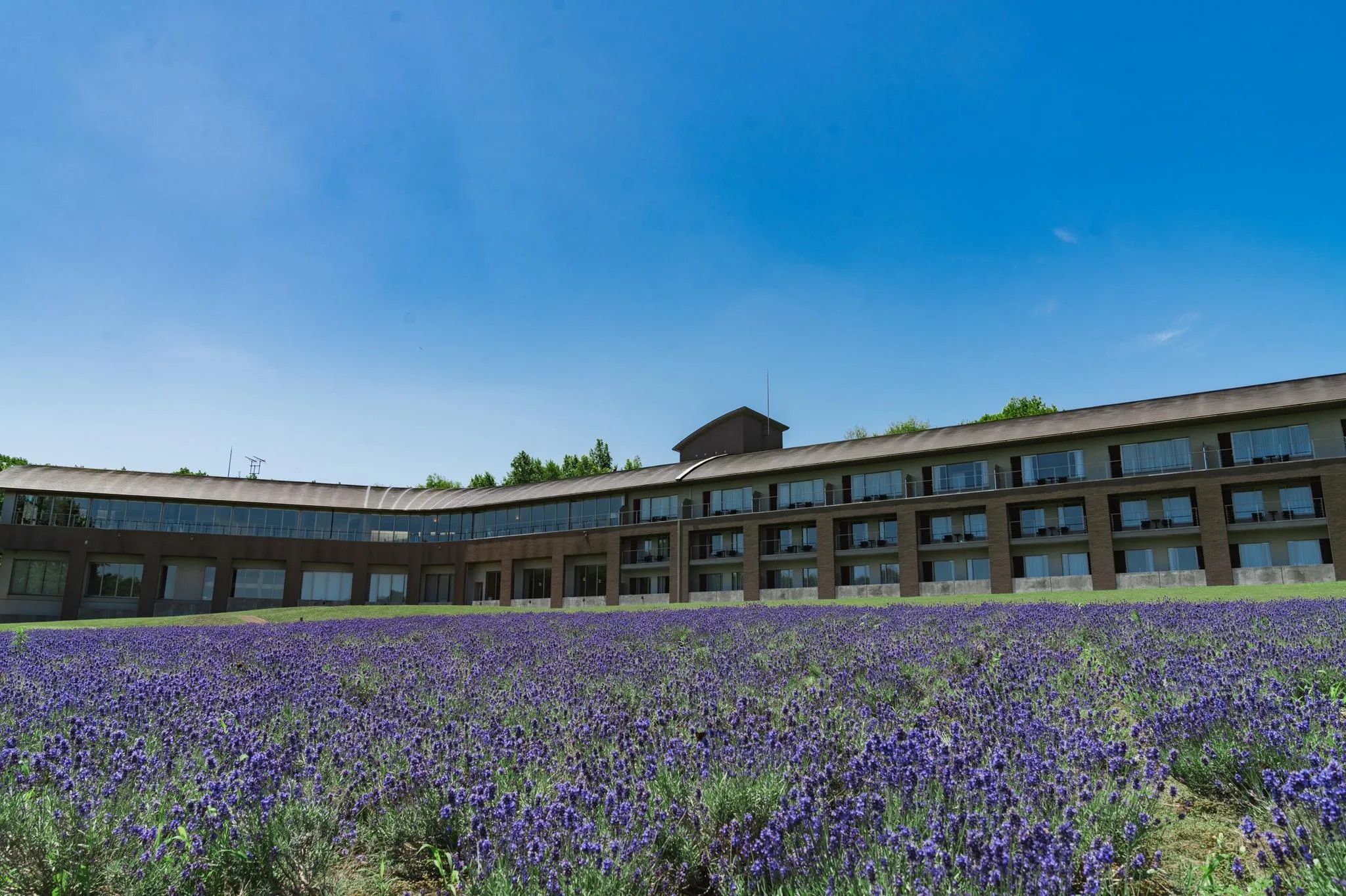 富良野ホテル FURANO HOTEL
