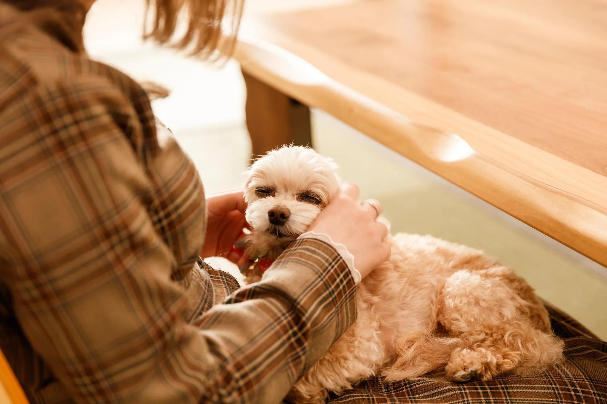愛犬と過ごす本格旅館 月香