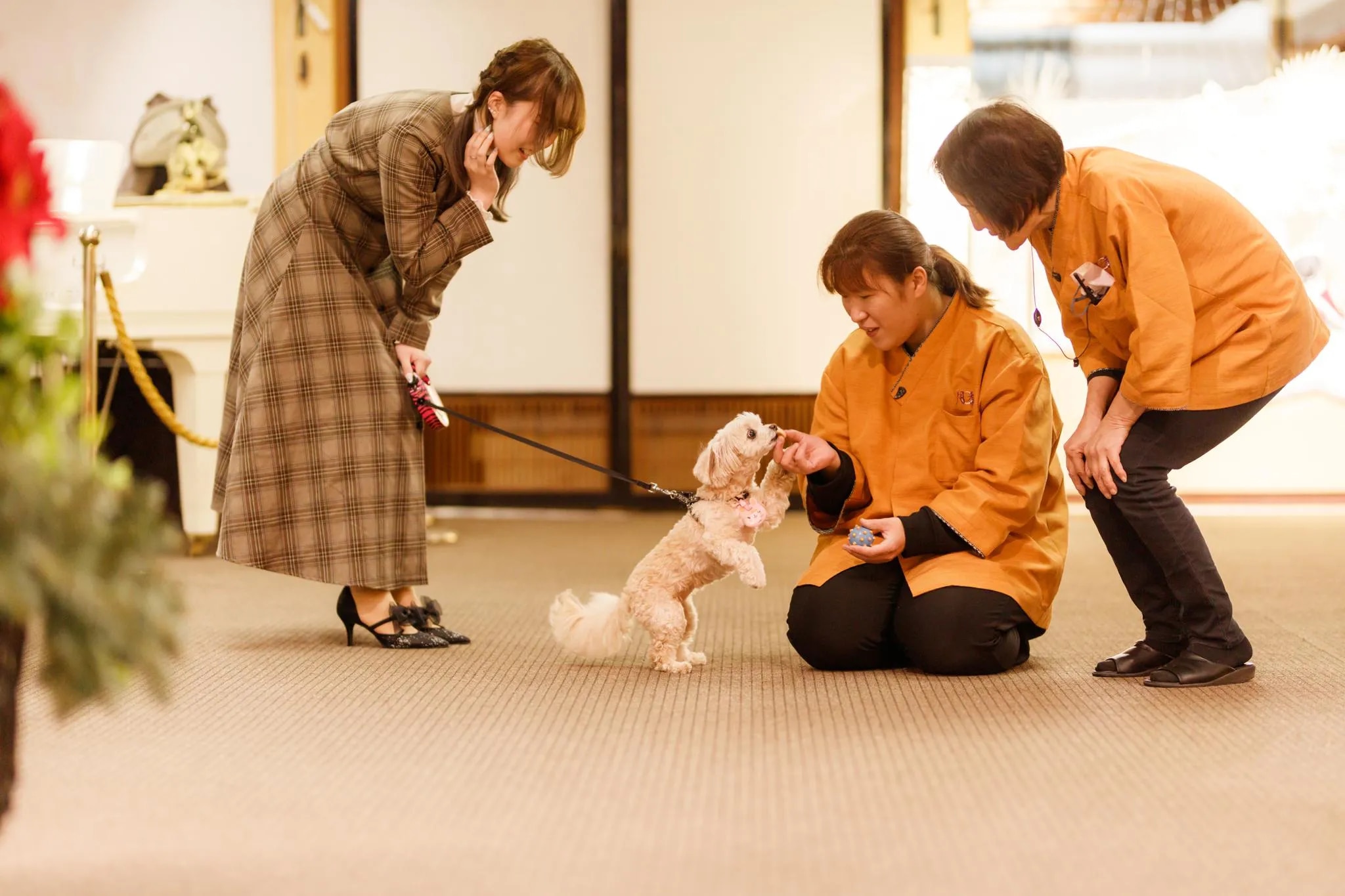 愛犬と過ごす本格旅館 月香
