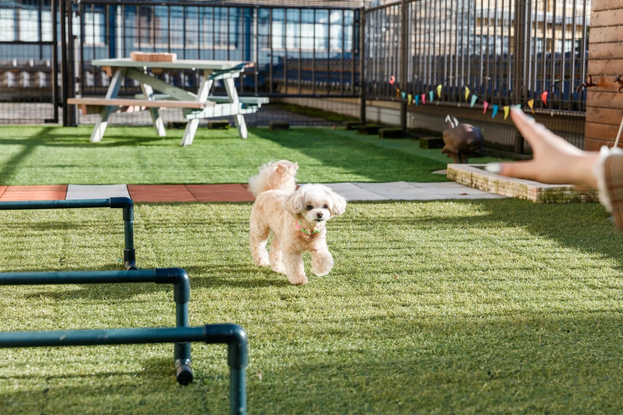 愛犬と過ごす本格旅館 月香