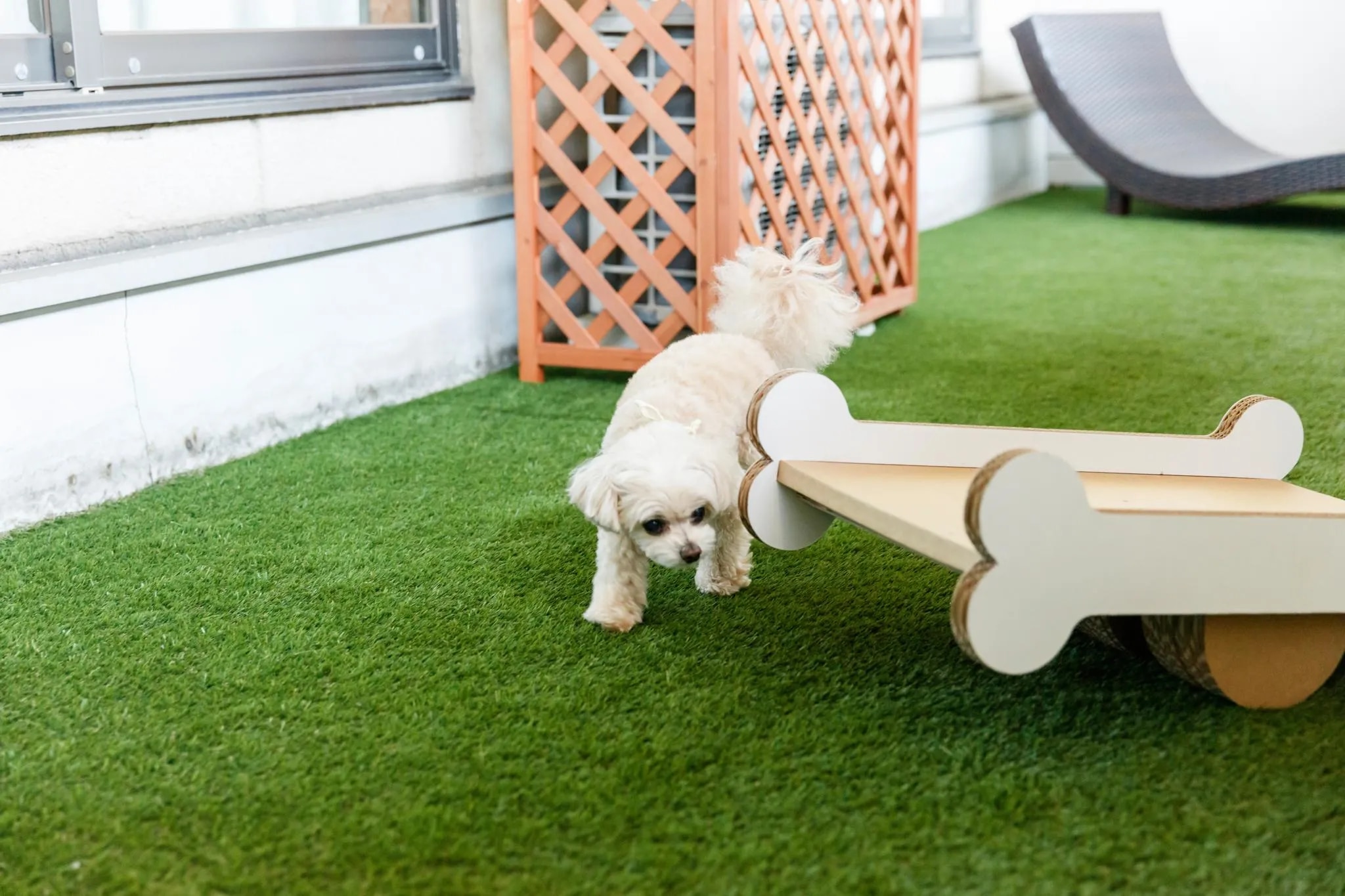 愛犬と過ごす本格旅館 月香