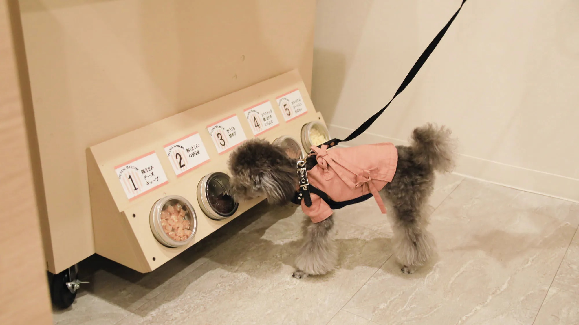 ゆるり箱根 with DOGS