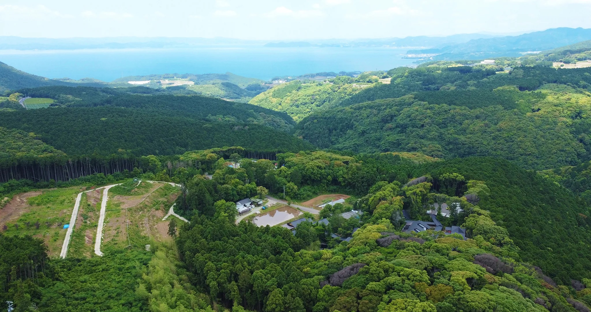そのぎ茶温泉 里山の湯宿 つわぶきの花