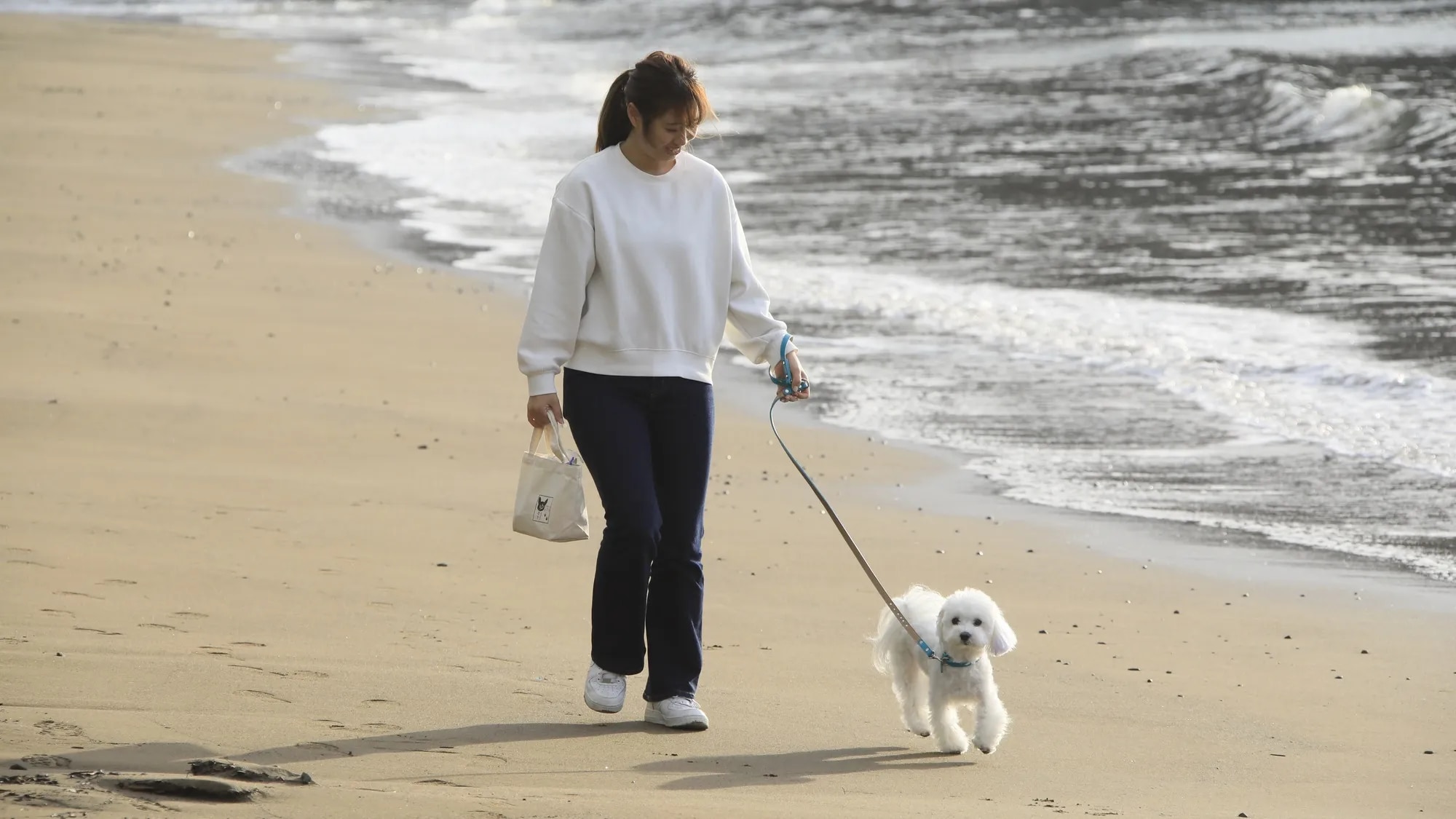愛犬と泊まれる温泉宿 ゆるり西伊豆
