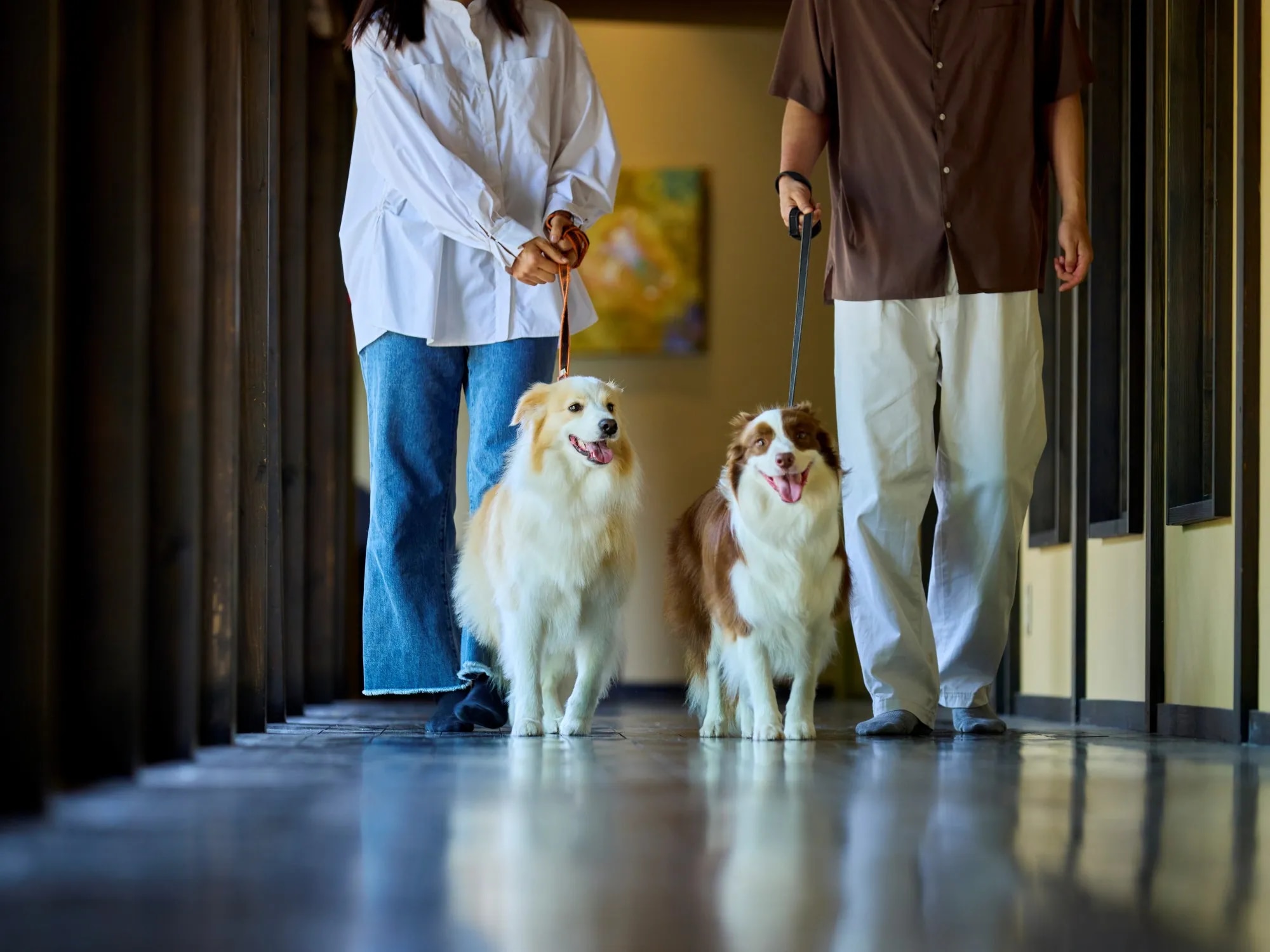 愛犬と泊まれる古民家リトリート 赤城山 -懐-