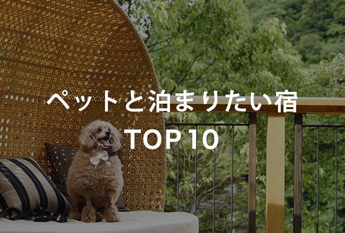 ペットと泊まりたい宿 TOP10