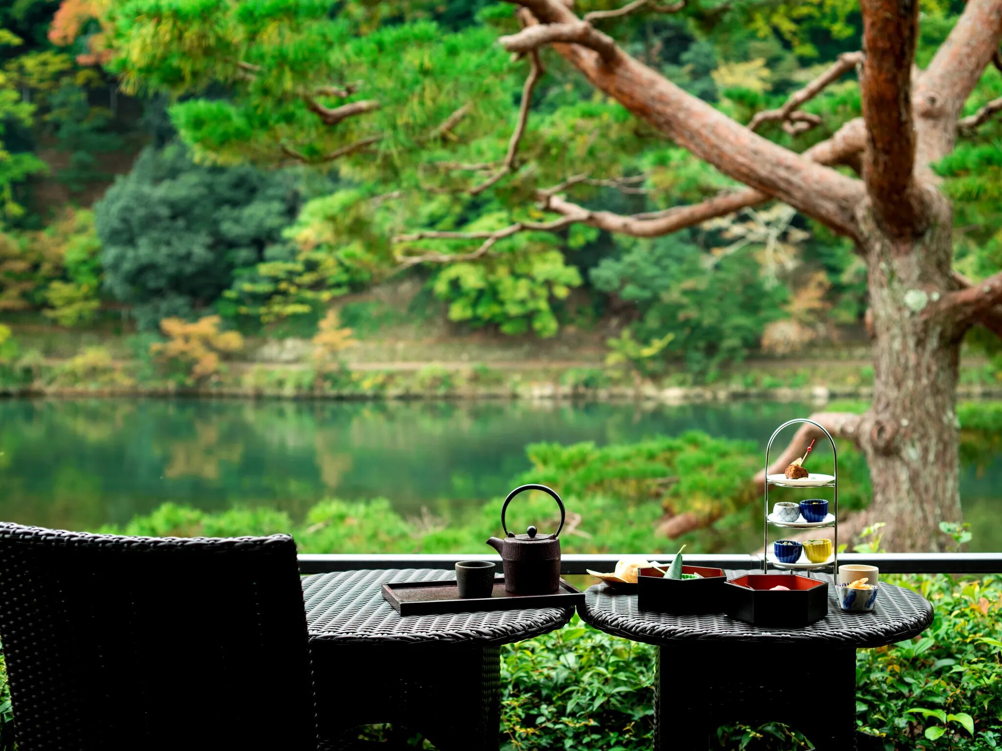 日本の贅沢、雅な庭園を眺める旅