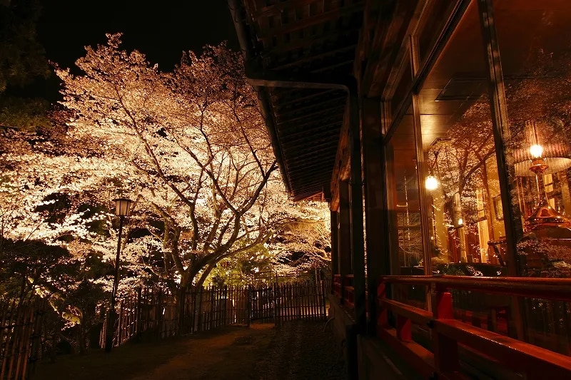桜の季節を楽しむ ～京都近郊の宿～